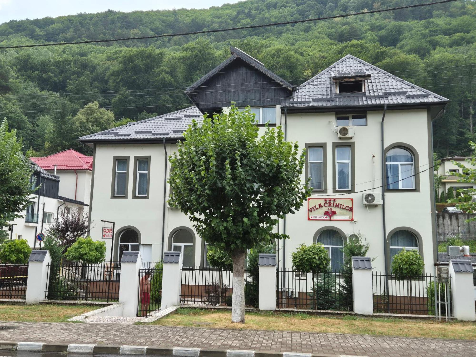 Vila Crinilor Călimăneşti المظهر الخارجي الصورة